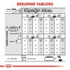 Royal Canin Mini Dermacomfort Yetişkin Köpek Maması 3 Kg
