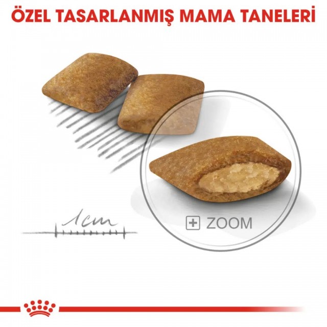 Royal Canin Mini Exigent Köpek Maması 3 Kg