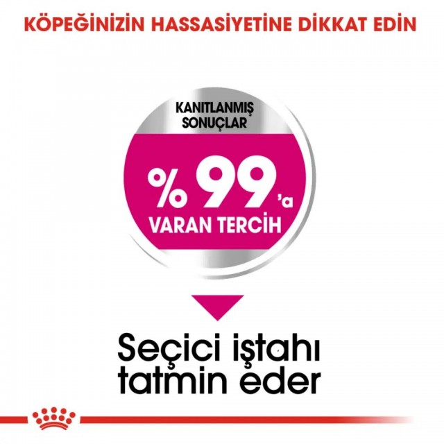 Royal Canin Mini Exigent Köpek Maması 3 Kg