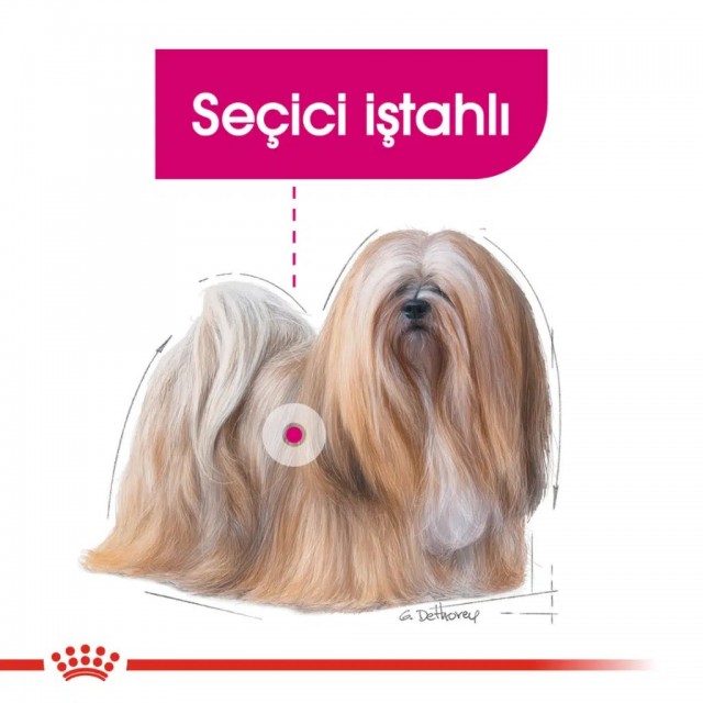 Royal Canin Mini Exigent Köpek Maması 3 Kg