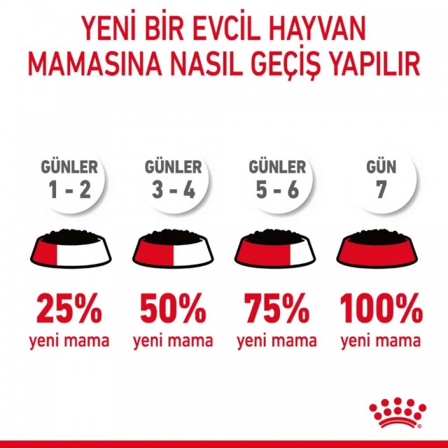Royal Canin Mini Exigent Köpek Maması 3 Kg