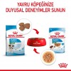 Royal Canin Mini Puppy Gravy Pounch Yavru Köpek Yaş Maması 85 Gr