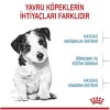 Royal Canin Mini Puppy Küçük Irk Yavru Köpek Maması 2kg
