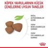 Royal Canin Mini Puppy Küçük Irk Yavru Köpek Maması 4 Kg