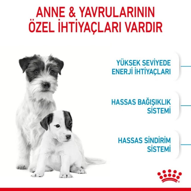 Royal Canin Mini Starter Mother & Babydog Yavru Köpek Maması 4 Kg