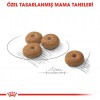 Royal Canin Mini Sterilised Kısırlaştırılmış Yetişkin Köpek Maması 3 Kg