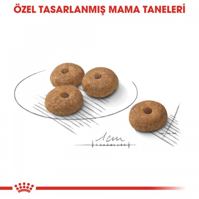 Royal Canin Mini Sterilised Kısırlaştırılmış Yetişkin Köpek Maması 3 Kg