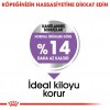 Royal Canin Mini Sterilised Kısırlaştırılmış Yetişkin Köpek Maması 3 Kg