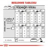 Royal Canin Mini Sterilised Kısırlaştırılmış Yetişkin Köpek Maması 3 Kg
