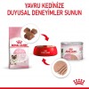 Royal Canin Mother & Babycat Yavru Kedi Konserve Maması 195 Gr