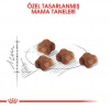 Royal Canin Mother & Babycat Yavru Kedi Maması 2 Kg