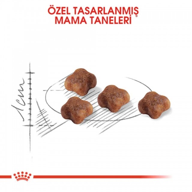 Royal Canin Mother & Babycat Yavru Kedi Maması 2 Kg