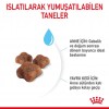 Royal Canin Mother & Babycat Yavru Kedi Maması 2 Kg