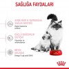 Royal Canin Mother & Babycat Yavru Kedi Maması 2 Kg