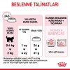 Royal Canin Mother & Babycat Yavru Kedi Maması 2 Kg