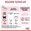 Royal Canin Mother & Babycat Yavru Kedi Maması 4 Kg