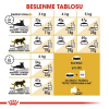 Royal Canin Persian Adult İran Irkı Yetişkin Kedi Maması 10kg