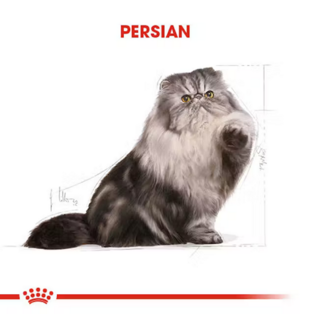 Royal Canin Persian Adult İran Irkı Yetişkin Kedi Maması 10kg