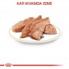 Royal Canin Pomeranian Adult Pouch Köpek Yaş Maması 85 Gr