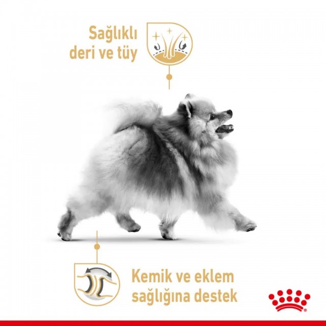 Royal Canin Pomeranian Adult Pouch Köpek Yaş Maması 85 Gr