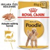 Royal Canin Poodle Adult Gravy Pouch Köpek Yaş Maması 85 Gr