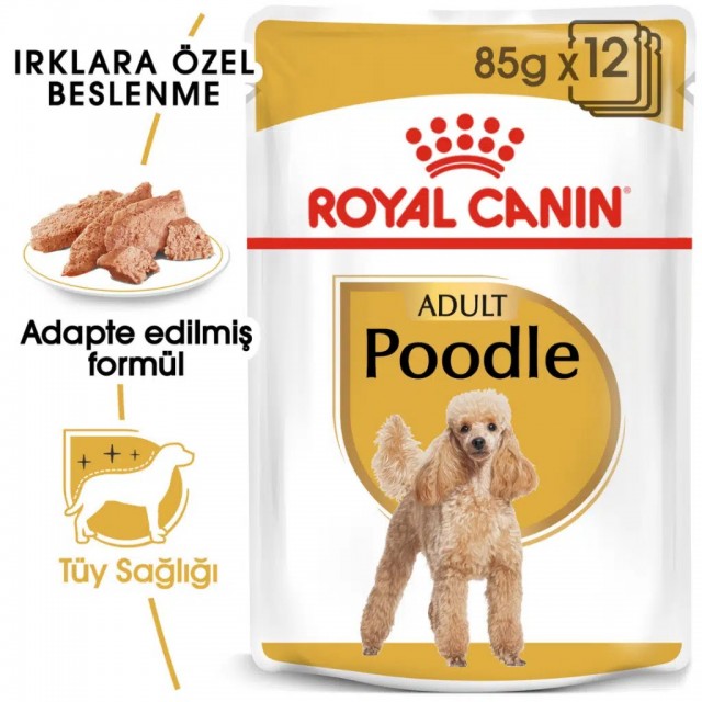 Royal Canin Poodle Adult Gravy Pouch Köpek Yaş Maması 85 Gr