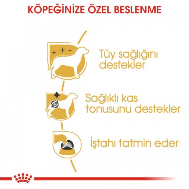 Royal Canin Poodle Adult Gravy Pouch Köpek Yaş Maması 85 Gr