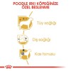 Royal Canin Poodle Adult Yetişkin Köpek Maması 3 Kg