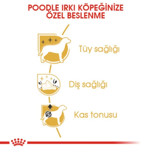 Royal Canin Poodle Adult Yetişkin Köpek Maması 3 Kg
