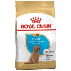 Royal Canin Poodle Irkı Yavru Köpek Maması 3kg