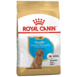 Royal Canin Poodle Irkı Yavru Köpek Maması 3kg