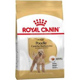 Royal Canin Poodle Irkı Yetişkin Köpek Maması 3kg