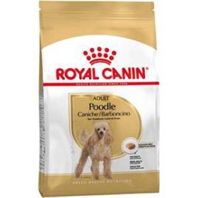 Royal Canin Poodle Irkı Yetişkin Köpek Maması 3kg