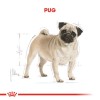 Royal Canin Pug Adult Yetişkin Köpek Maması 1.5 Kg