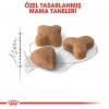 Royal Canin Sensible 33 Yetişkin Kedi Maması 2 Kg