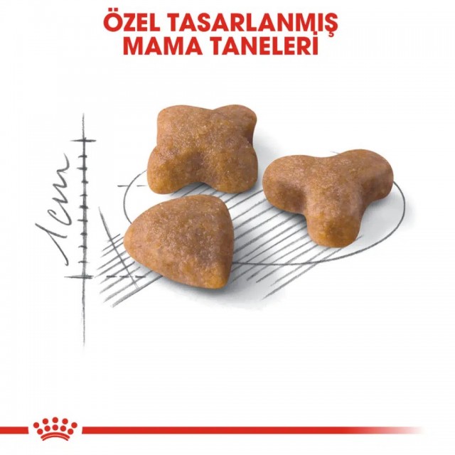 Royal Canin Sensible 33 Yetişkin Kedi Maması 2 Kg