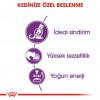 Royal Canin Sensible 33 Yetişkin Kedi Maması 2 Kg