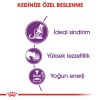 Royal Canin Sensible 33 Yetişkin Kedi Maması 4 Kg