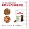 Royal Canin Sindirim Sistemini Destekleyen Tamamlayıcı Yetişkin Köpek Ödül Maması 160gr