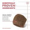 Royal Canin Sindirim Sistemini Destekleyen Tamamlayıcı Yetişkin Köpek Ödül Maması 160gr