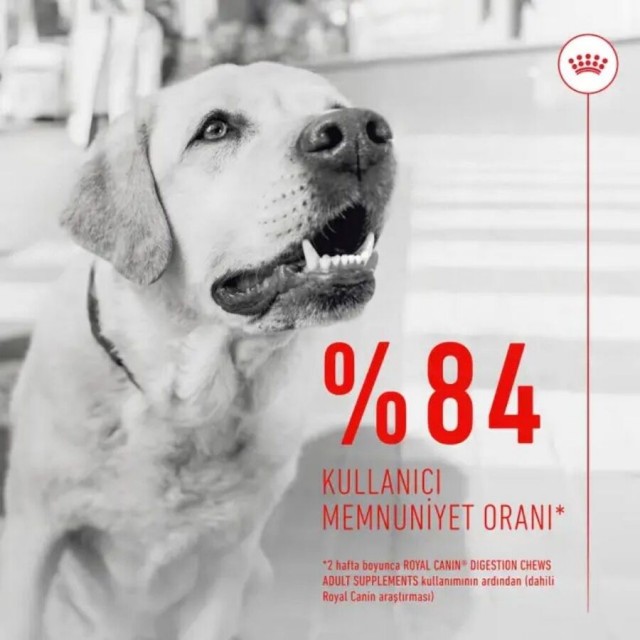 Royal Canin Sindirim Sistemini Destekleyen Tamamlayıcı Yetişkin Köpek Ödül Maması 160gr