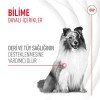 Royal Canin Deri ve Tüy Sağlığı Destekleyici Köpek Ödülü 240gr