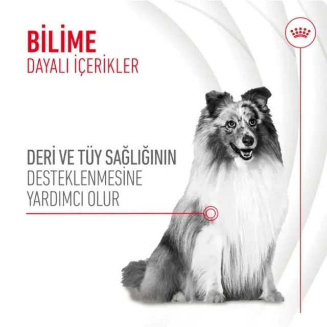Royal Canin Deri ve Tüy Sağlığı Destekleyici Köpek Ödülü 240gr