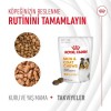 Royal Canin Deri ve Tüy Sağlığı Destekleyici Köpek Ödülü 240gr