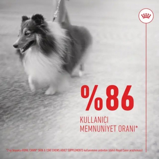 Royal Canin Deri ve Tüy Sağlığı Destekleyici Köpek Ödülü 240gr