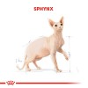Royal Canin Sphynx Sfenks Irkı Yetişkin Kedi Maması 2kg