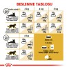 Royal Canin Sphynx Sfenks Irkı Yetişkin Kedi Maması 2kg