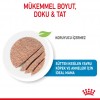 Royal Canin Starter Mother Babydog Yavru Köpek Konserve Maması 195 Gr