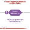 Royal Canin Sterilised 7+ Kısırlaştırılmış Yaşlı Kedi Maması 3.5 Kg