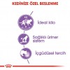 Royal Canin Sterilised Jelly Pouch Kısırlaştırılmış Kedi Yaş Maması 85 Gr